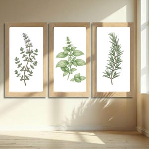 May include: Set of three framed botanical prints featuring watercolor illustrations of herbs. The prints showcase thyme, basil, and rosemary, each in a light brown wooden frame. The artwork has a natural, earthy aesthetic, perfect for kitchen or dining room decor.
