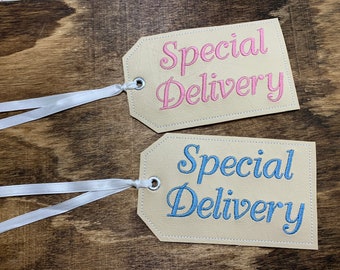 Könnte beinhalten: Zwei beigefarbene Geschenkanhänger mit weißem Band. Die Anhänger sind mit dem Text "Special Delivery" in rosa und blauer Stickerei verziert.