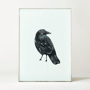 Cartel CROW pájaro ilustración / dibujo de aves / arte de pájaros animales / decoración de la pared / impresión de arte de pájaro / cuervo negro