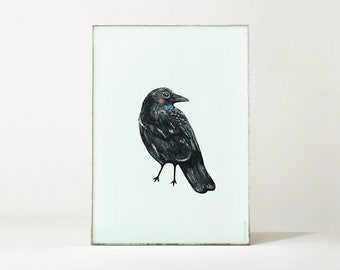 Cartel CROW pájaro ilustración / dibujo de aves / arte de pájaros animales / decoración de la pared / impresión de arte de pájaro / cuervo negro