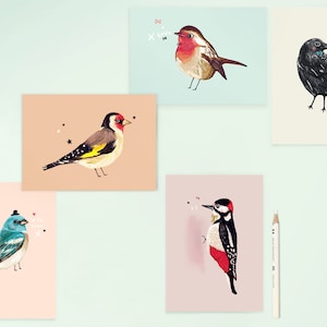 Postkarten Set BIRDIES Vogel Illustrationen / 5 Postkarten / Vogel Illustration / blauer Vogel / goldfinch / Rotkehlchen / Krähe / Specht / Kunstkarten