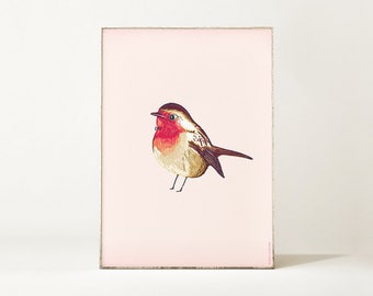 Cartel ROBIN BIRD Ilustración / arte de pájaro / dibujo de petirrojo / cartel de pájaros / decoración de pared de colores / impresión de arte de pájaros