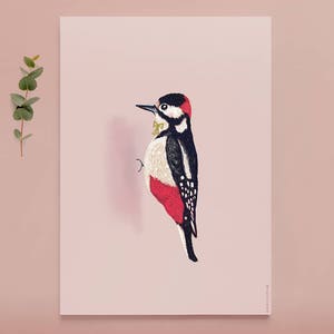 Cartel WOODPECKER BIRD Ilustración / arte de pájaro / dibujo de pájaro carpintero / animal pájaro arte impresión / decoración de pared de colores / selva urbana imagen 2