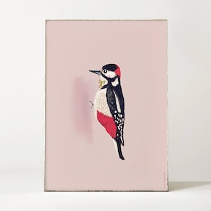 Cartel WOODPECKER BIRD Ilustración / arte de pájaro / dibujo de pájaro carpintero / animal pájaro arte impresión / decoración de pared de colores / selva urbana imagen 1