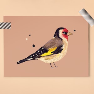 Postkarte GOLDFINCH VOGEL Illustration / Vogelzeichnung / Tierkunst / just because / Kunstkarte / Vogel illustration