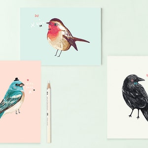 Postcard Set BIRDIES Bird Illustrations / set of 3 postcards / bird illustration birds / blue bird / robin / crow / art cards / just because