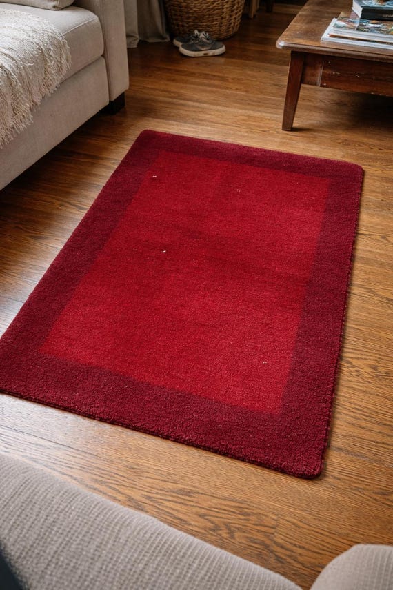 Hand Knotted Red Area Rug, Burgundy Border, Plush Modern Floor Rug