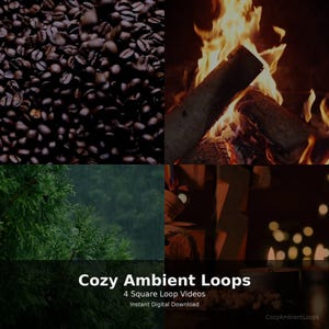 以下が含まれることがあります： 4つの正方形の画像コラージュ。左上：深煎りのコーヒー豆。右上：燃える暖炉。左下：緑の森の風景。右下：ろうそく。テキストには「Cozy Ambient Loops」と「4 Square Loop Videos」と書かれています。