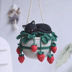 May include: A crocheted hanging planter with a sleeping black cat. The planter is white and green, with green leaves and red strawberry decorations. It hangs from a cream-coloured cord. The cat is curled up asleep.