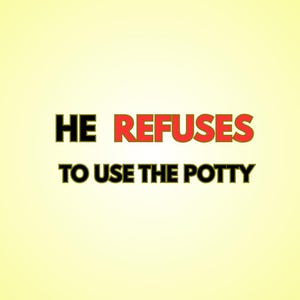 3 Day Potty Training Chart Printable for Toddlers, Reward System, Stop Accidents Fast