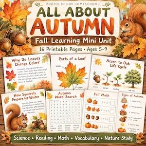Fall Worksheets for Kids | Autumn Activities & Science Unit Study | Kindergarten–2nd Grade Printable