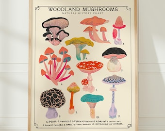 Woodland Mushrooms Natural History Chart, Folk Art Print, Forest Cottagecore Decor