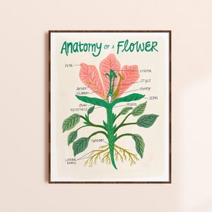 Flower Art Print, plant poster, bloem anatomie grafiek, natuur kunst aan de muur, bloemenprint, botanische illustratie, vintage geïnspireerde wetenschap grafiek