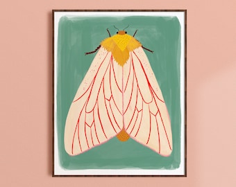 Ghost Moth Illustration | Insect Wall Art | Hand Drawn Bug Art Print