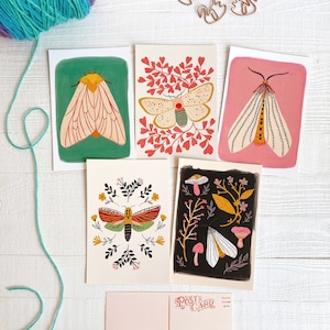 Motte Postkarten Set, 10 Stück, Käfer Karte, Briefpapier Set, Insekten Illustration, Mini Kunst, Geschenk für Freunde, Geschenk unter 20, Motte Kunst