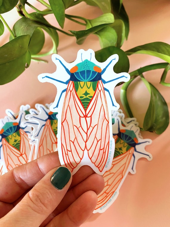Cicada Sticker, Insect Decal, Insect Sticker, Water Bottle Decoration, Colorful Bug Sticker, Kindle Decal, Laptop Sticker, Nature Lover Gift
