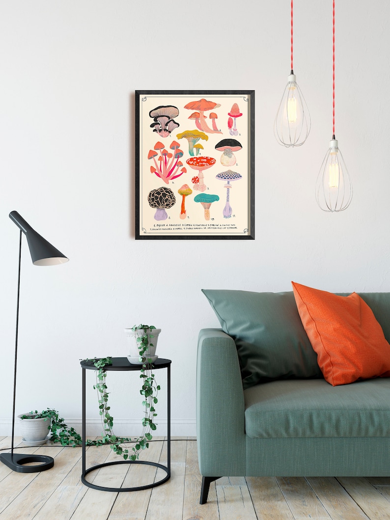 May include: A vintage botanical illustration of various mushrooms with colourful caps and stems. The print is framed in black and features the text "S. Agaricus a muscarius L. Lamelle a couronnes & pedicule a saveur mie. L. Couronne ronde a coiffe. L. Lamelle serr&eacute;es & dent&eacute;es sur le bord."