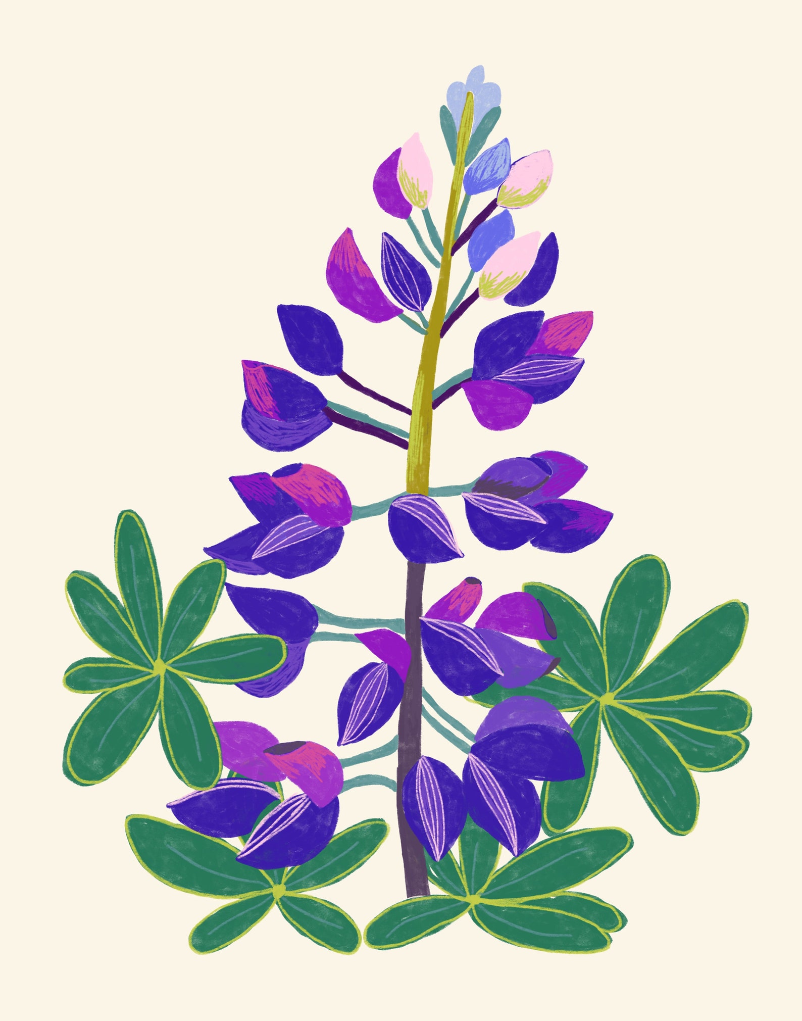 Floral Print Set Botanical Art Flower Prints Set of 4 Etsy