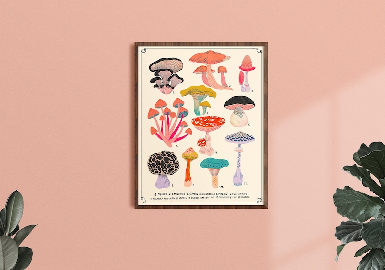 May include: A vintage-style illustration of 11 different types of mushrooms with colourful caps and stems. The mushrooms are labelled with numbers 1 through 11. The illustration is on a cream-coloured background with a brown frame.
