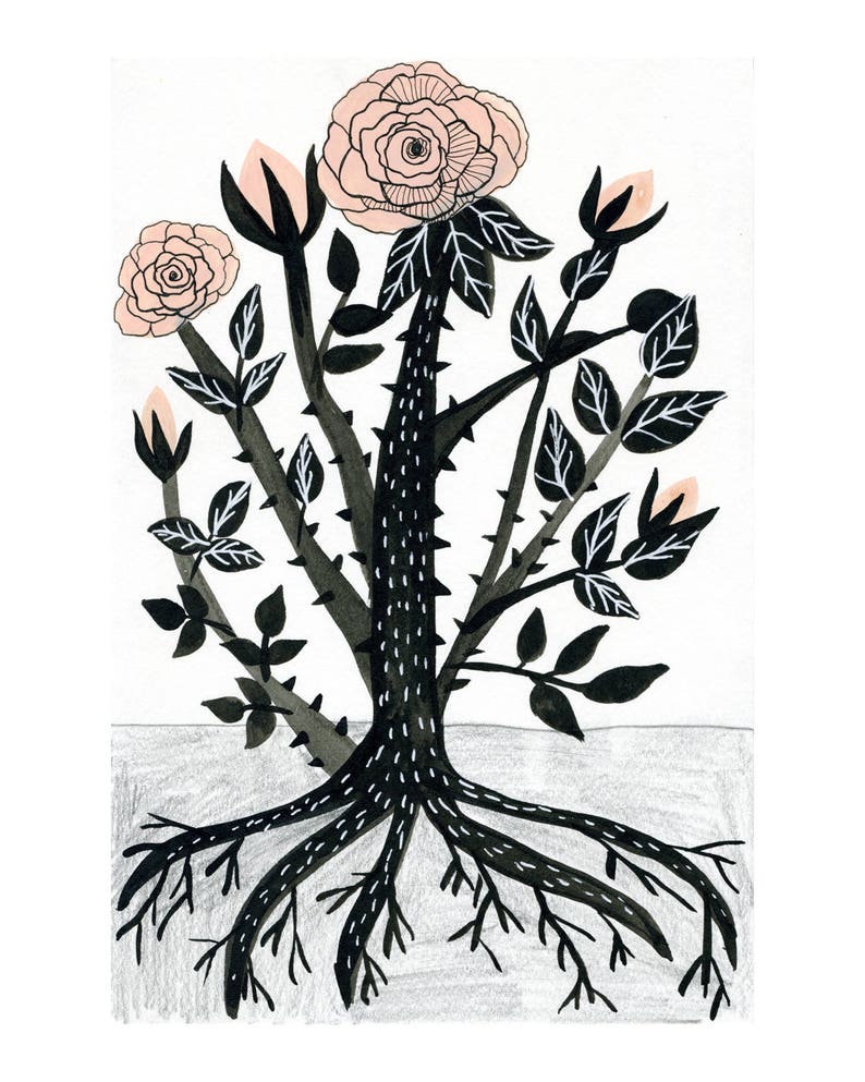 K&ouml;nnte beinhalten: Eine Schwarzwei&szlig;illustration eines Rosenbusches mit rosa Rosen. Der Busch hat Dornen und einen dicken, schwarzen Stamm mit wei&szlig;en Punkten. Die Wurzeln sind sichtbar und breiten sich unter der Erde aus.