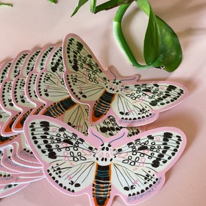May include: A collection of pink stickers featuring a moth design. The moth has white wings with black spots and a pink outline. The body is orange and black. The stickers are on a pink surface with green leaves in the background. The text "@DREAMFOLKSTUDIO" is on the stickers.