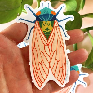 Peut inclure: Un autocollant illustrant un cigale color&eacute; avec des d&eacute;tails orange, vert, bleu et blanc. La cigale a de grandes ailes translucides avec des nervures rouges. L'autocollant est sur un fond blanc et porte le texte "@dreamfolk.studio" dans le coin inf&eacute;rieur droit.