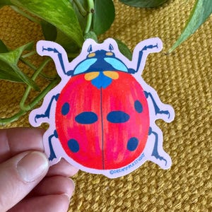 Ladybug Sticker, Insect Decal, Lady Bird Sticker, Water Bottle Decoration, Illustrated Bug Sticker, Kindle Decal, Laptop Sticker, Red Bug