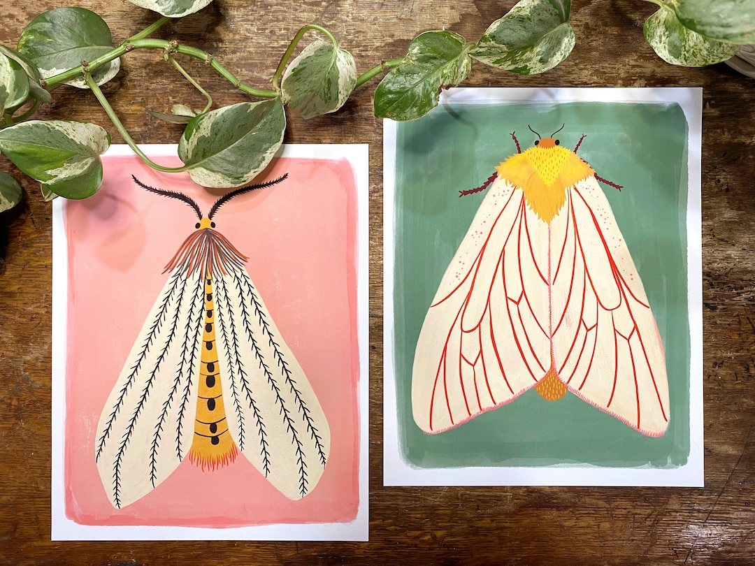 Moth Art Print Set, Insect Illustration, Gallery Wall Prints, Set of 2 ...