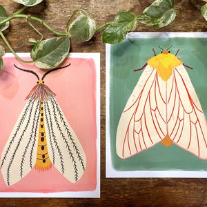 Moth Art Print Set, Insect Illustration, Gallery Wall Prints, Set of 2 Prints, Nature Lover Gift, Colorful Kids Decor, Living Room Wall Art