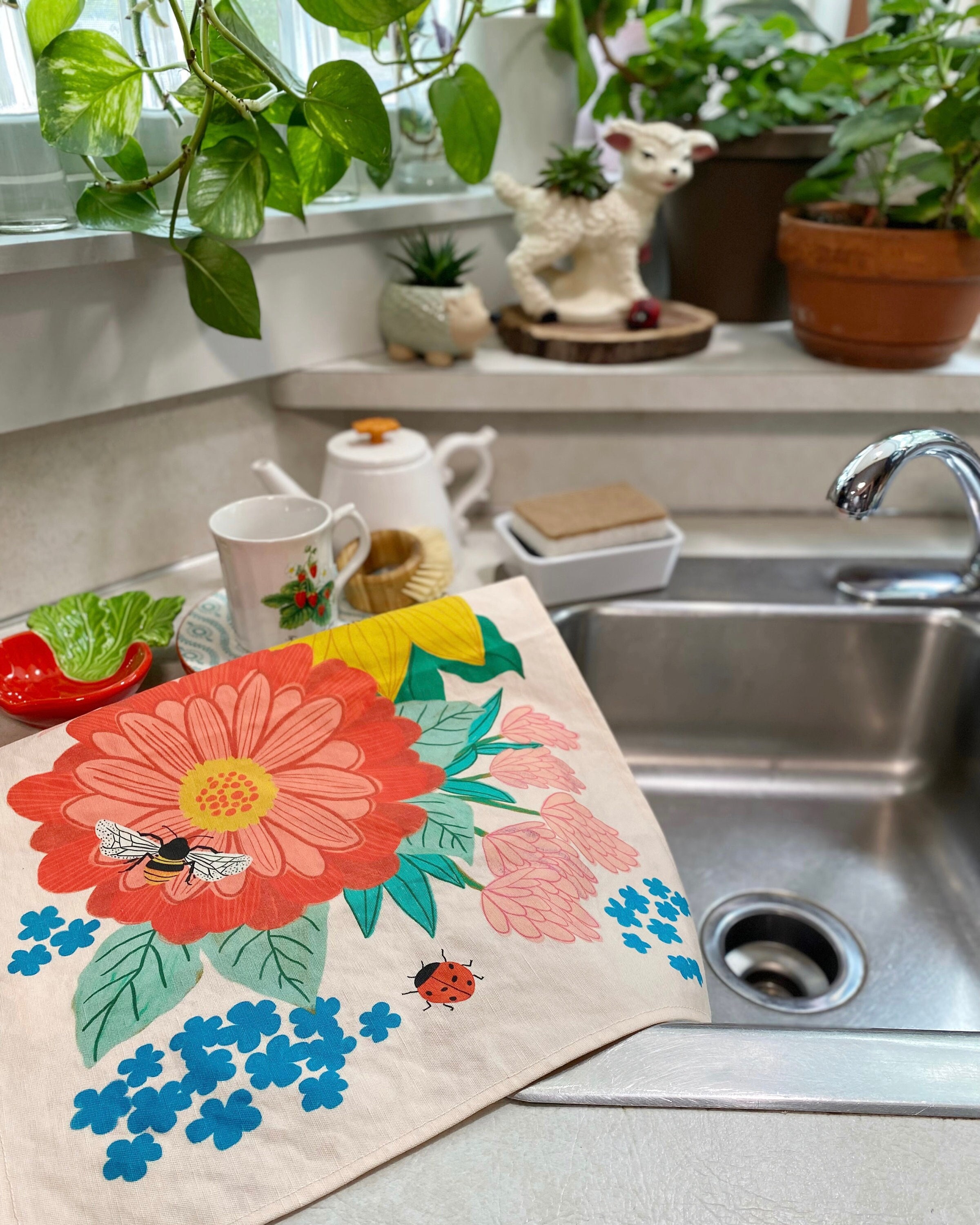 DAN RIVER 100% Cotton Kitchen Towel Set, Dish Towel Set for Kitchen, Absorbent Kitchen Dish Towels, Tea Towels, Dish Towel for Drying Dishes, Aqua Kit, Facebook Marketplace