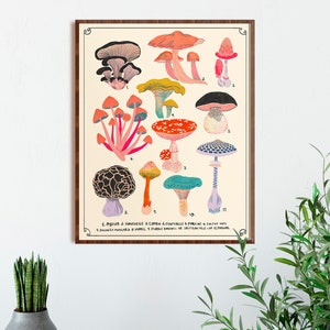 May include: A vintage-style illustration of 11 different types of mushrooms. The mushrooms are drawn in a colourful, whimsical style with a variety of colours, including pink, red, orange, yellow, blue, green, and purple. The illustration is labelled with the names of each mushroom.