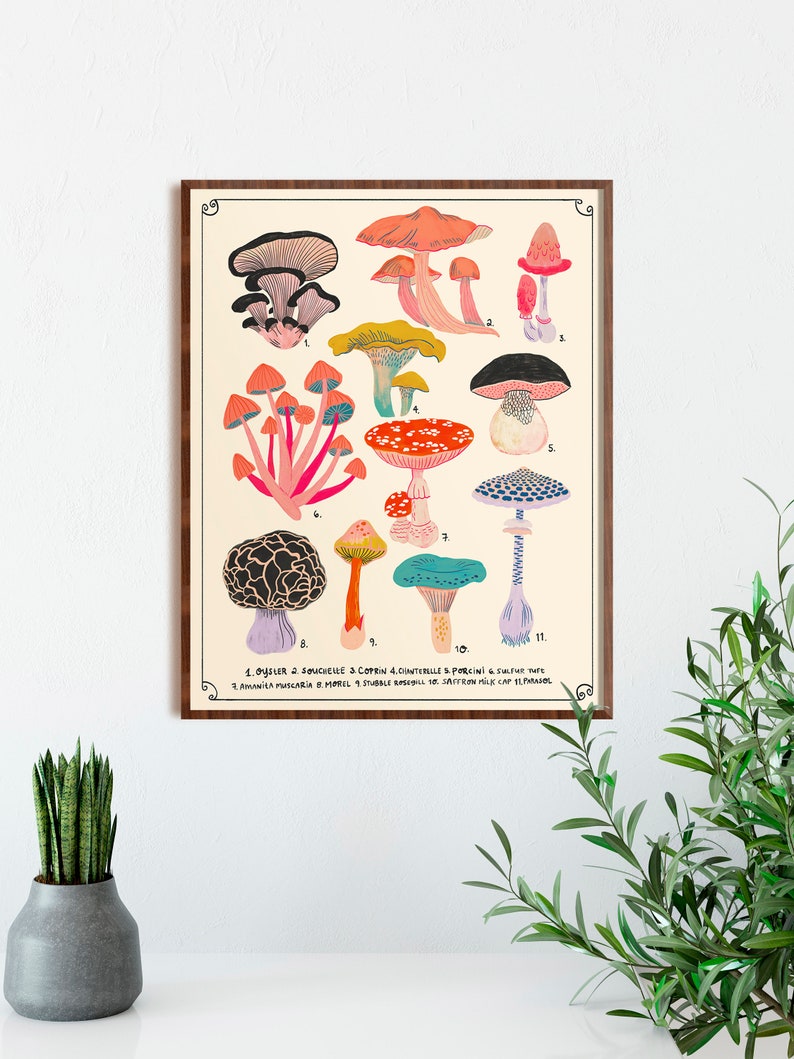 May include: A vintage-style illustration of 11 different types of mushrooms. The mushrooms are drawn in a colourful, whimsical style with a variety of colours, including pink, red, orange, yellow, blue, green, and purple. The illustration is labelled with the names of each mushroom.
