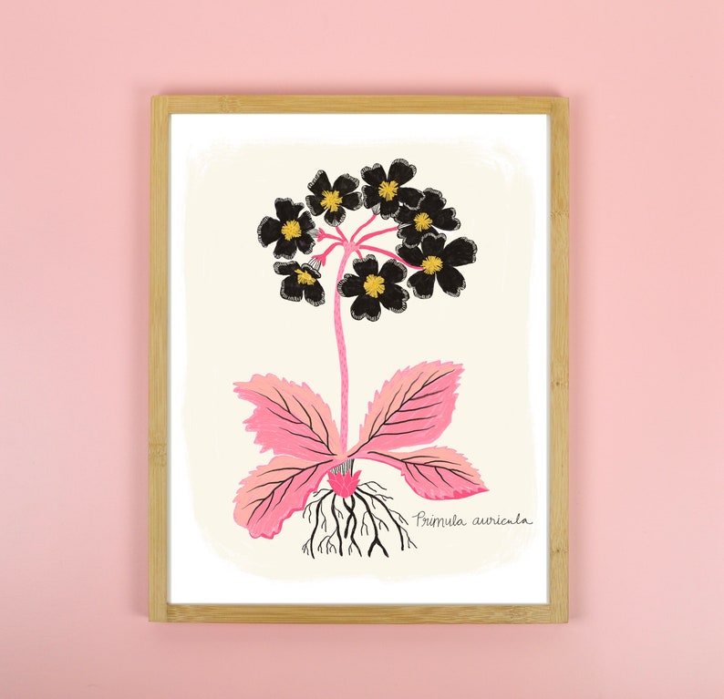 Floral Wall Art, Primrose Flower Print, Botanical Illustration, Living Room Wall Art, Nature Lover Gift, Gift for Her, Pink Bedroom Decor Cream