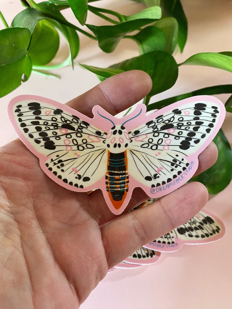 May include: A die-cut sticker featuring a moth design with a pink outline and a white body. The moth has black spots and pink accents. The sticker has the text "@DREAMFOLK STUDIO".