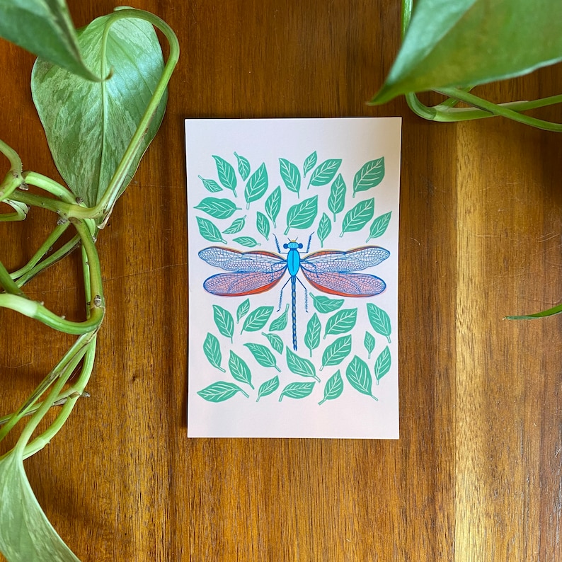 Insect Postcard Pack, Set of 10, Nature Gift, Bug Stationery Set, Bee Illustration, Butterfly Art, Ladybug Artwork, Dragonfly Postcard image 5