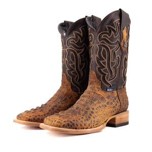 Può includere: Un paio di stivali da cowboy marroni e beige. Gli stivali presentano un design strutturato e fantasia sulla parte inferiore e un motivo decorativo cucito sullo stelo superiore. Hanno una punta quadrata e un tacco impilato.