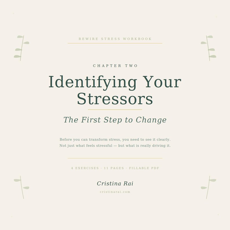 K&ouml;nnte beinhalten: Ein Arbeitsbuchcover mit dem Titel "Identifying Your Stressors". Der Text ist in dunkler gr&uuml;ner Schrift auf cremefarbenem Hintergrund gehalten. Das Arbeitsbuch ist Teil der Reihe "Rewire Stress Workbook" und enth&auml;lt den Namen und die Website des Autors.