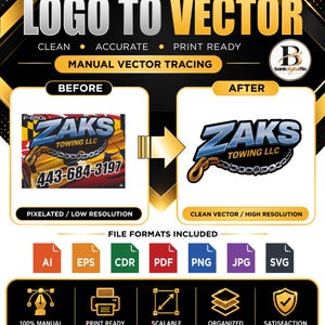 Arte vectorial personalizado a partir de una imagen: servicio profesional de rediseño vectorial.