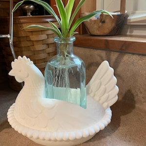 May include: A white ceramic hen-shaped planter holding a clear glass bottle with a green plant. The hen has detailed feathers and a ruffled edge around the base. The plant has long green and white leaves.