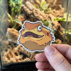 May include: A die-cut sticker featuring a cartoon illustration of a bearded dragon head with an orange and yellow face, a brown chin, and a wide-eyed, open-mouthed expression with a white border outline against a blurred naturalistic background.