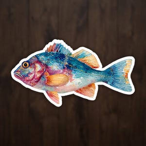 Watercolor Rockfish Sticker, Colorful Scorpionfish Decal for Water Bottle Laptop and Tackle Box, Deep Sea Angler Gift