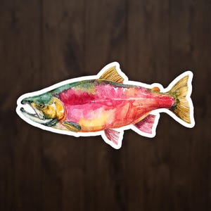 Watercolor Sockeye Salmon Sticker, Spawning Red Salmon Fishing Decal for Water Bottle Laptop Cooler, Angler Gift