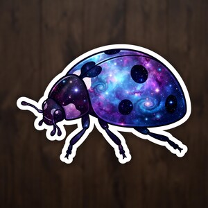 Ladybug Cosmic Insects Sticker, Celestial Art Vinyl Decal for Laptop and Water Bottle