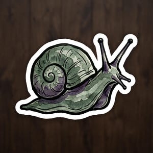 May include: Watercolor illustration of a snail sticker. The snail has a green and purple body with a spiraled shell. The sticker has a white border and is set against a dark wood grain background.