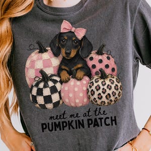 May include: A charcoal gray short-sleeve t-shirt featuring a graphic of a black and tan dachshund wearing a pink bow, surrounded by four pumpkins with checkered, polka dot, and leopard patterns. The text reads meet me at the PUMPKIN PATCH.