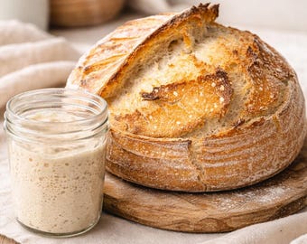 100年の歴史を持つサワー種スターター – 本場フランスの文化、オーガニック、初心者にも優しい（PDFレシピ）