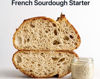 100 Jahre alter traditioneller Sauerteig-Starter, biologisches holländisches Mühlenmehl, wilde Yeast-Kultur