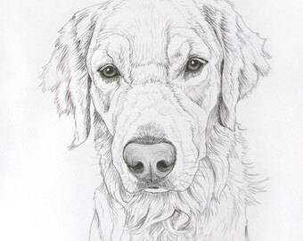 Niestandardowy Portret W Ołówkiem Rysunek 8 X 10 Etsy
