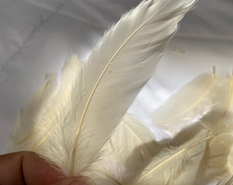 Cream goose feathers, 6 count, art supply, flower arrangement, craft supply, feather supply, loose feathers, DIY