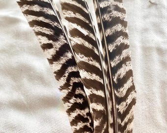 The Land of Misfit Feathers bulk mixed crafting supply DIY # 5